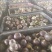 广西百香果次果奶茶店加工厂电商专用果统货