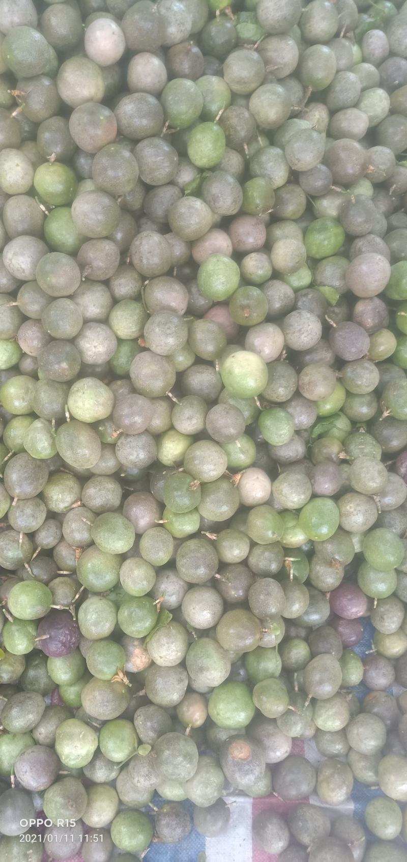 广西百香果次果奶茶店加工厂电商专用果统货