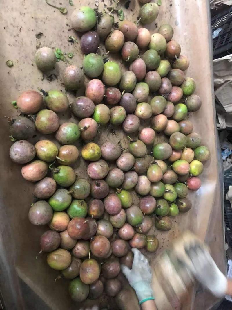 广西百香果次果奶茶店加工厂电商专用果统货
