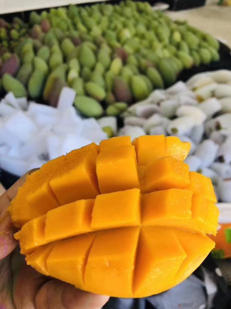 品质相当好