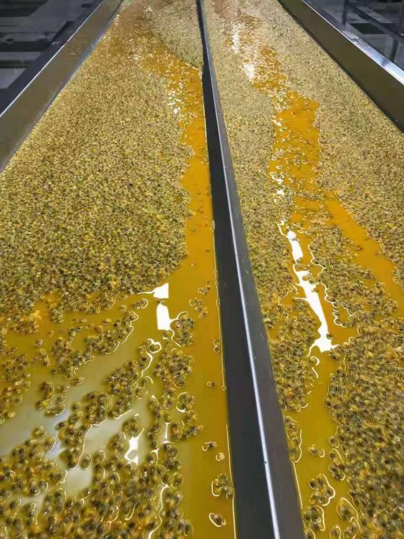 广西百香果原浆饮料果汁果酱批发商商超社区团购电商长期合作