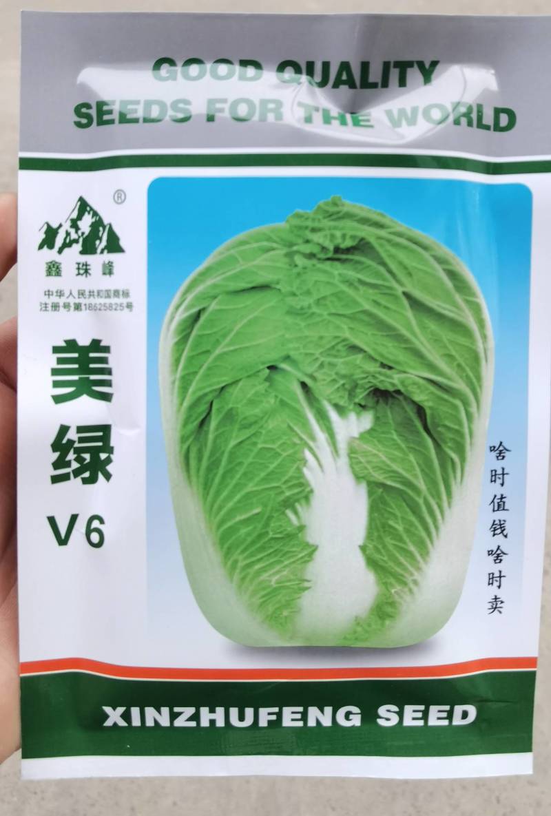 美绿V6大白菜种子65天～70～75～80天可上市白菜籽