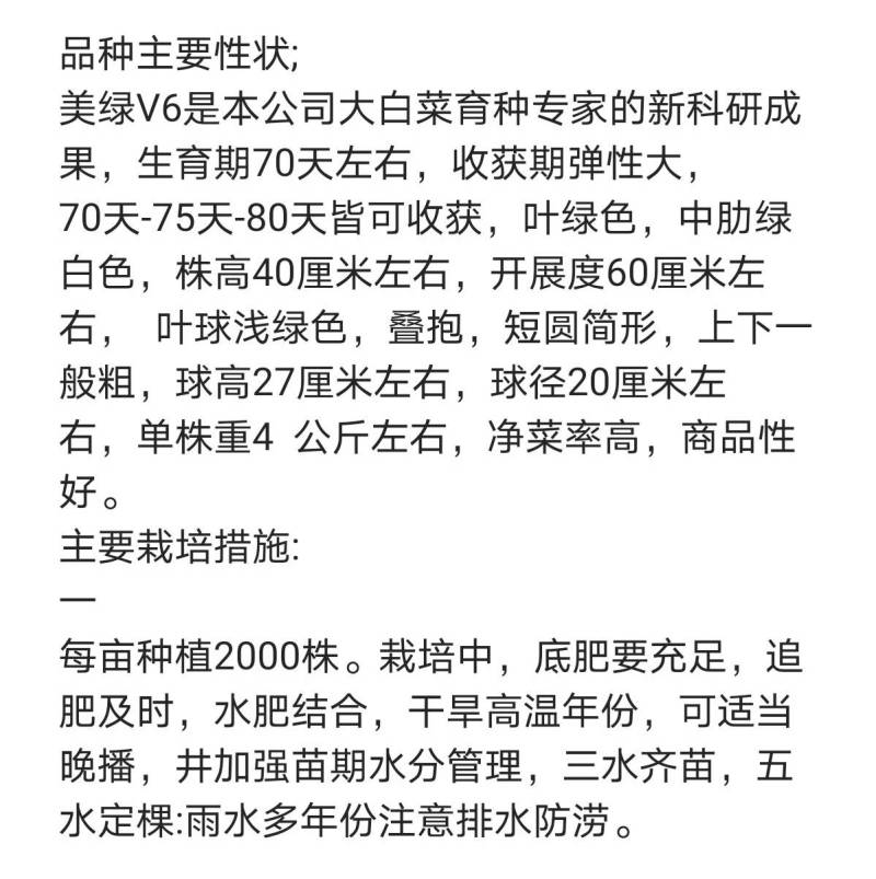 美绿V6大白菜种子65天～70～75～80天可上市白菜籽
