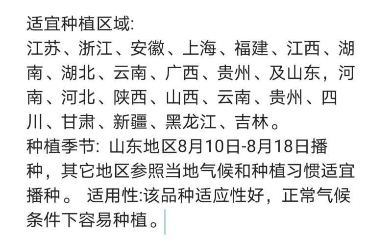 美绿V6大白菜种子65天～70～75～80天可上市白菜籽