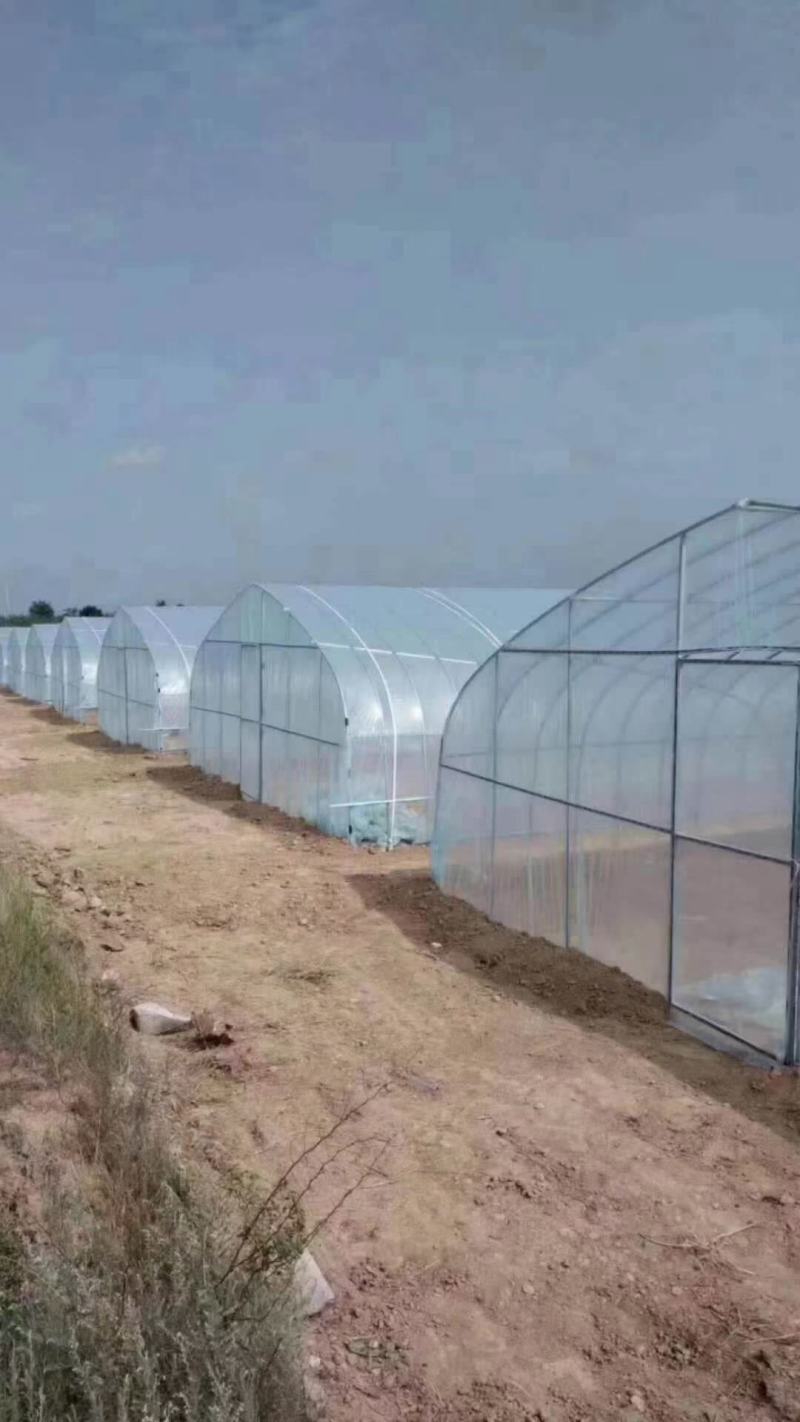 大棚膜8~12丝，厂家直销。欢迎新老客户进店选购。