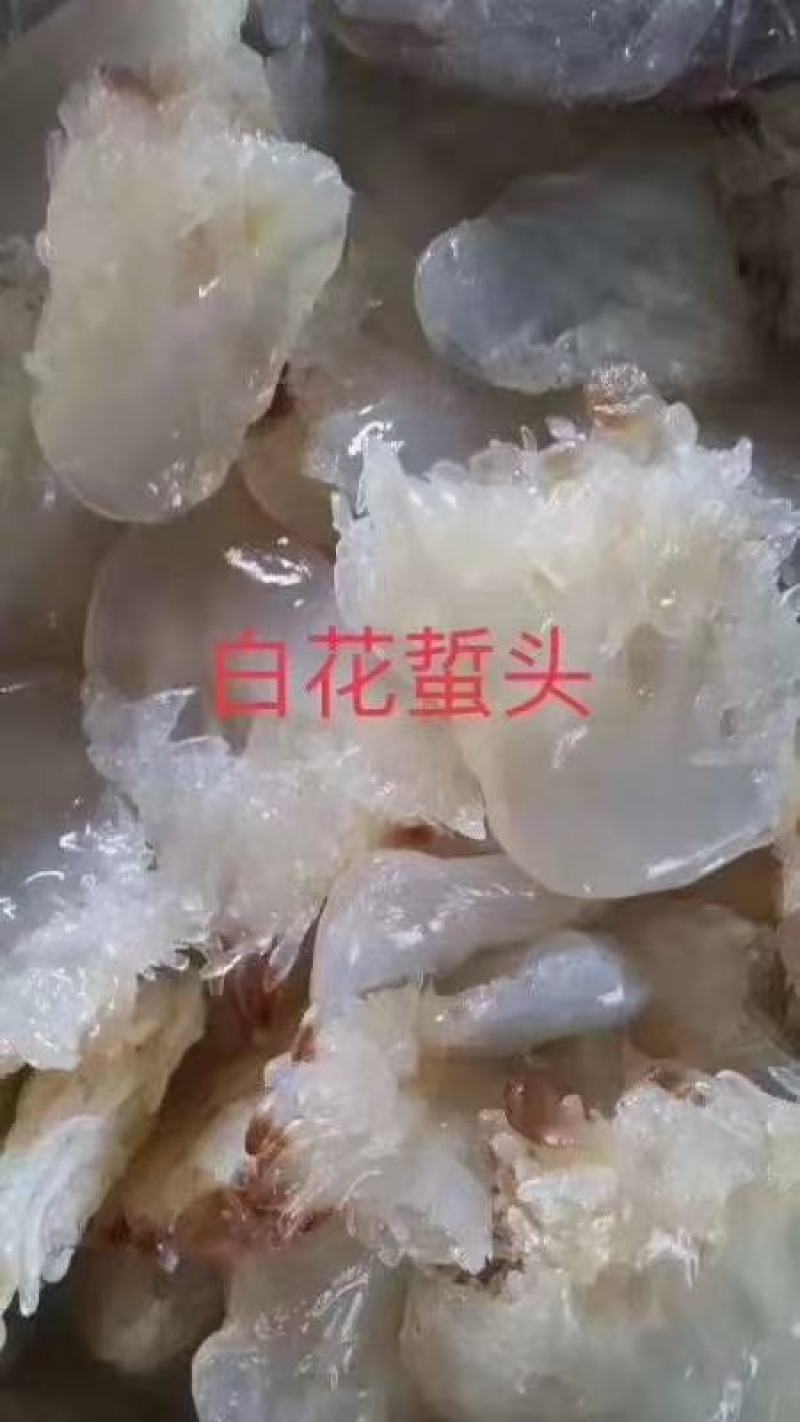 海蜇头、海蜇皮海蜇丝，承接定做各种规格既食海蜇，欢迎订购