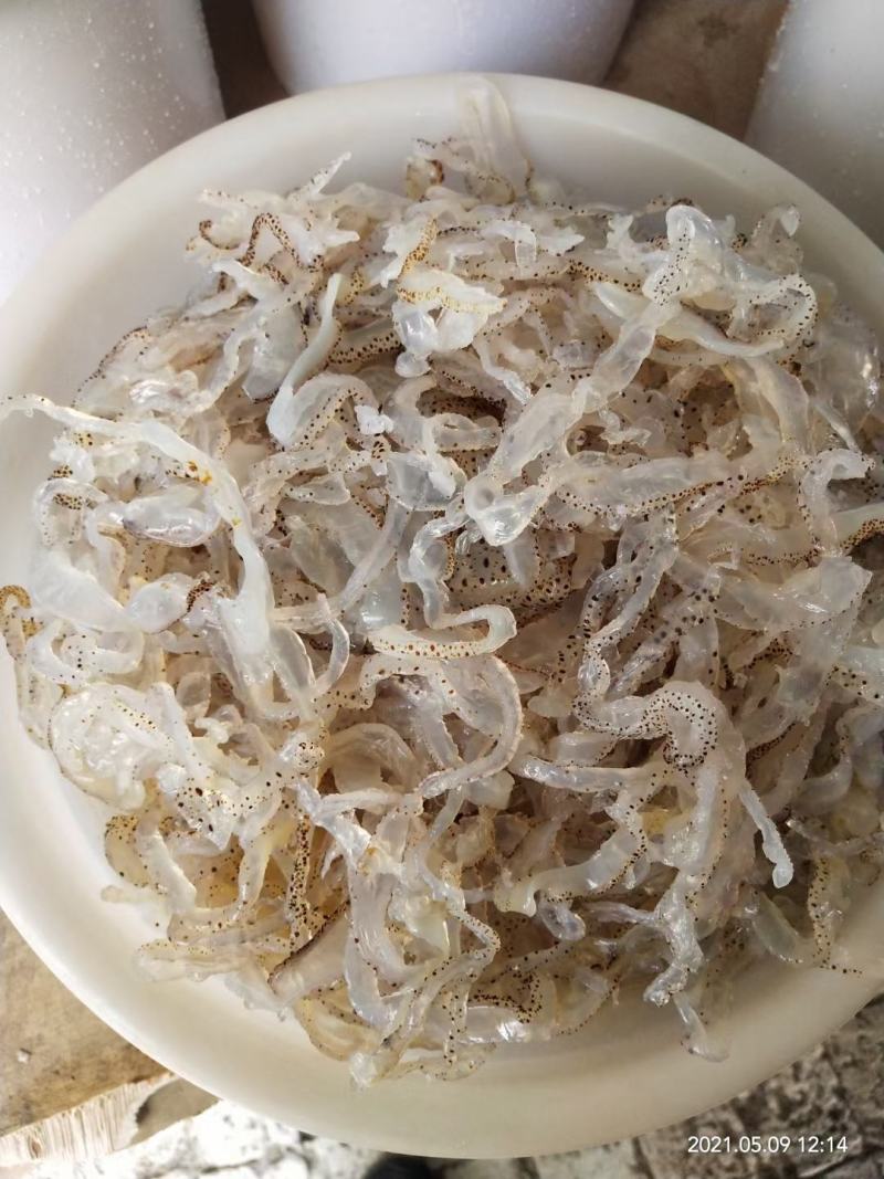 海蜇头、海蜇皮海蜇丝，承接定做各种规格既食海蜇，欢迎订购
