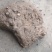 【产地直供】云南山乌龟量大优惠整车批发