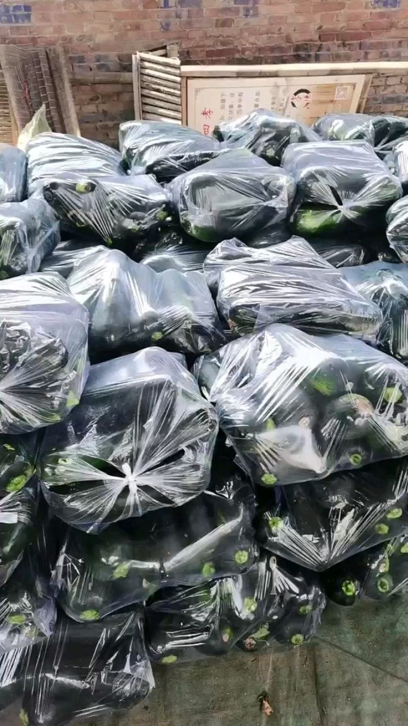 河南南瓜，基地直供，价格低。视频看货，线上保障交易