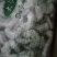 各种规格虾仁有货需要联系