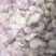 各种规格虾仁有货需要联系