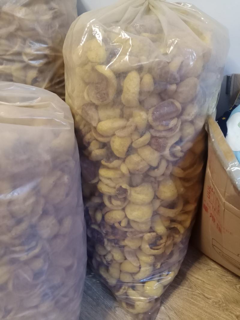 桑黄干品西峡县科达菌种厂桑黄种植基地