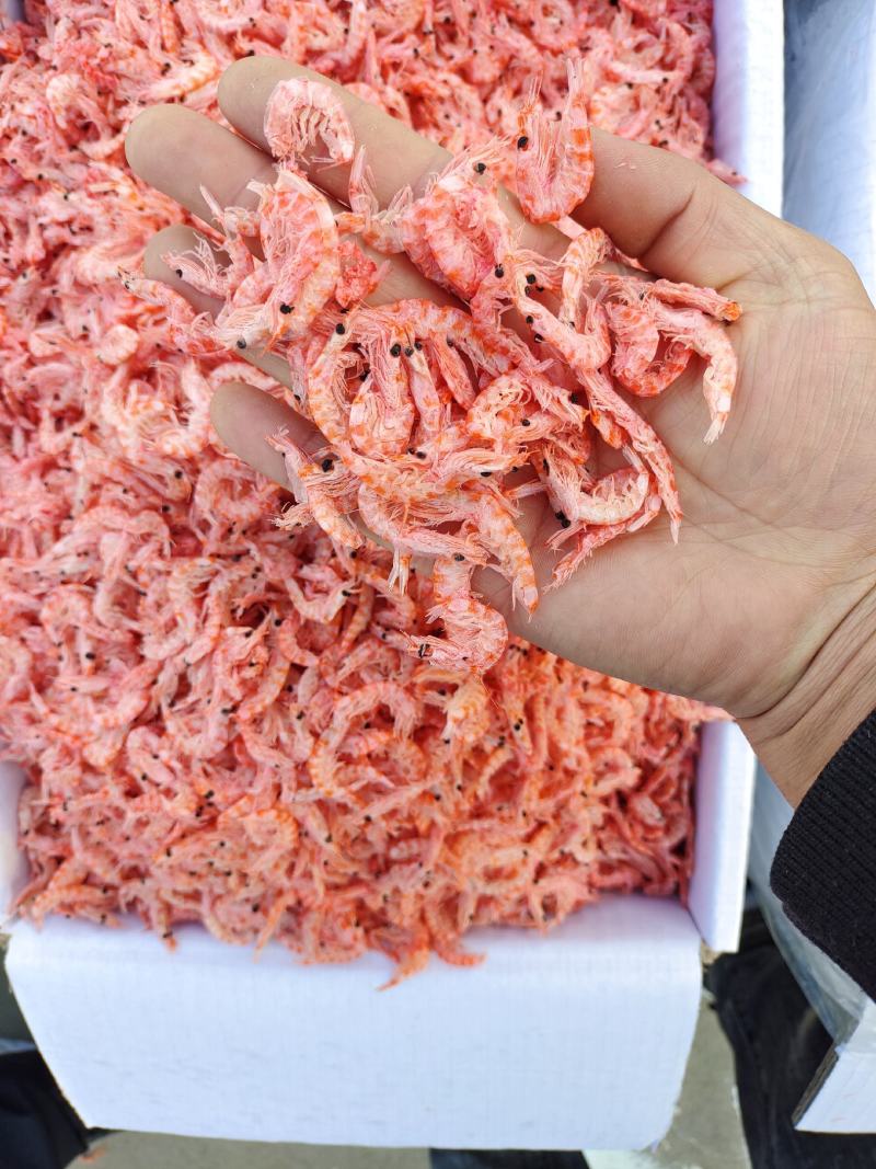 精选磷虾淡干无盐，电商平台供货，手续齐全，直销。