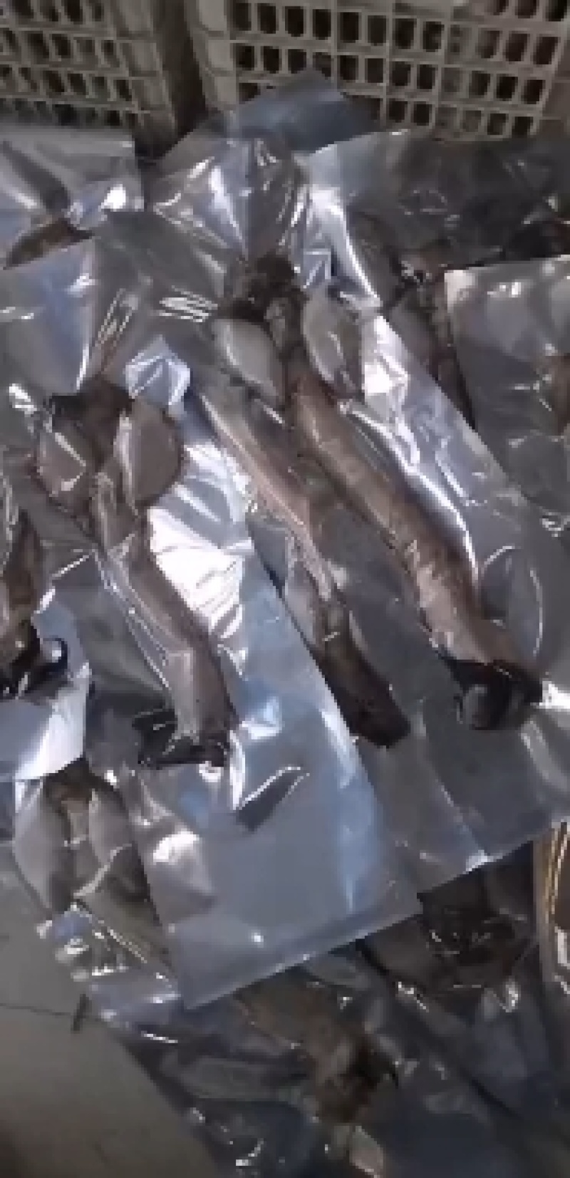 鲜鹿鞭吉林鹿鞭新鲜整根正品男用整滋补鹿鞭