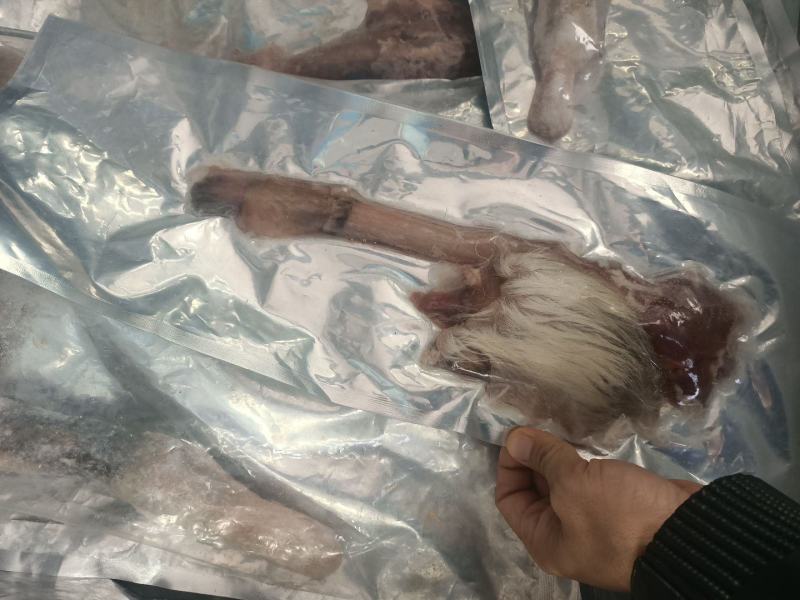 鲜鹿鞭吉林鹿鞭新鲜整根正品男用整滋补鹿鞭