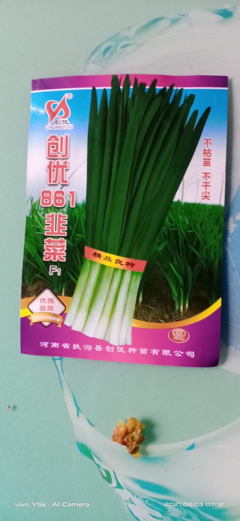 韭菜种子速生直立不休眠量大优惠，不要错过
