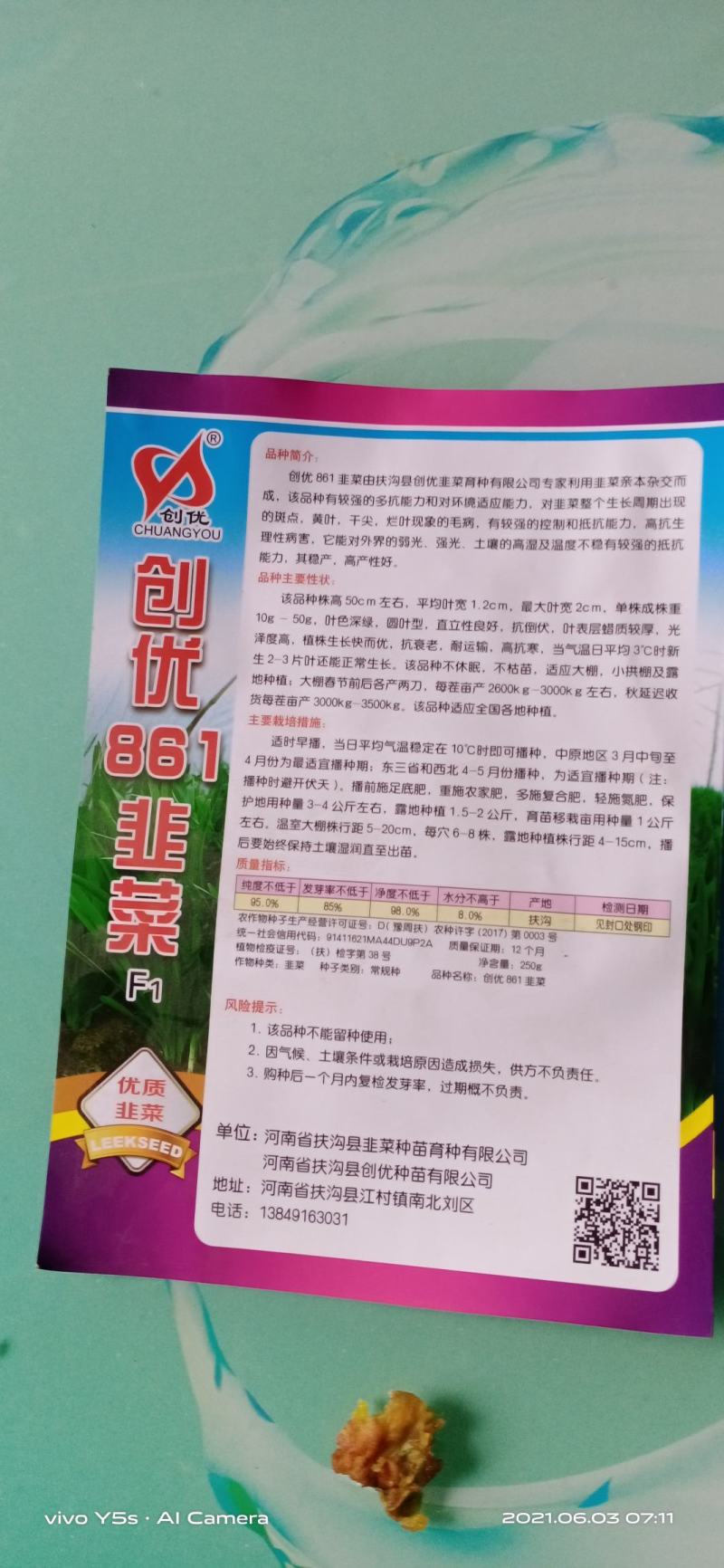 韭菜种子速生直立不休眠量大优惠，不要错过