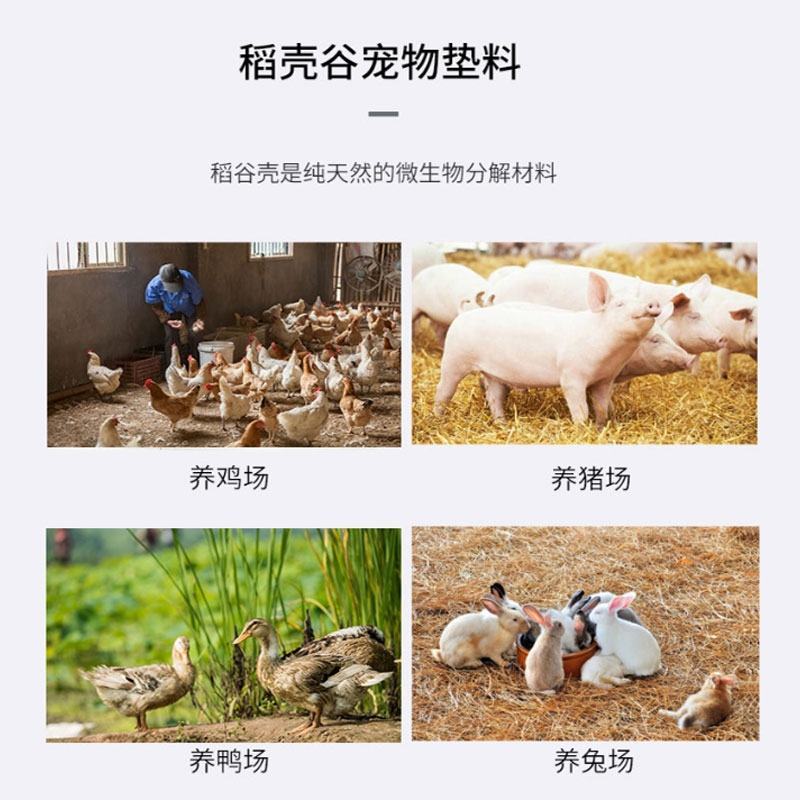 大量新鲜稻谷壳谷壳提供谷壳谷壳谷壳谷壳谷壳