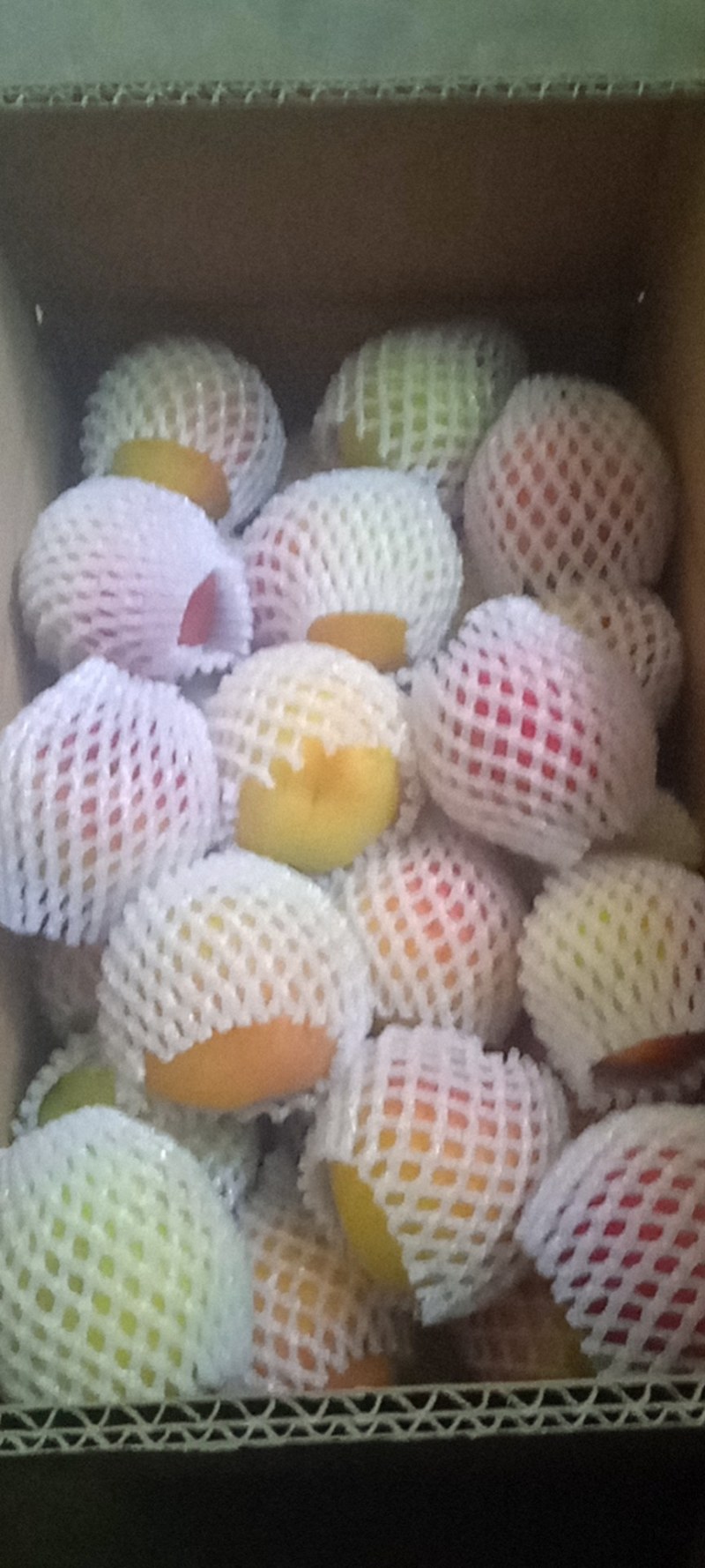 红杏