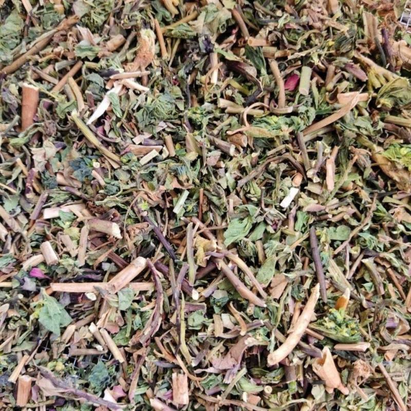 猫眼草泽漆货好量大产地直销不满意保退换