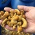 腌渍滑子菇各种品类欢迎咨询！