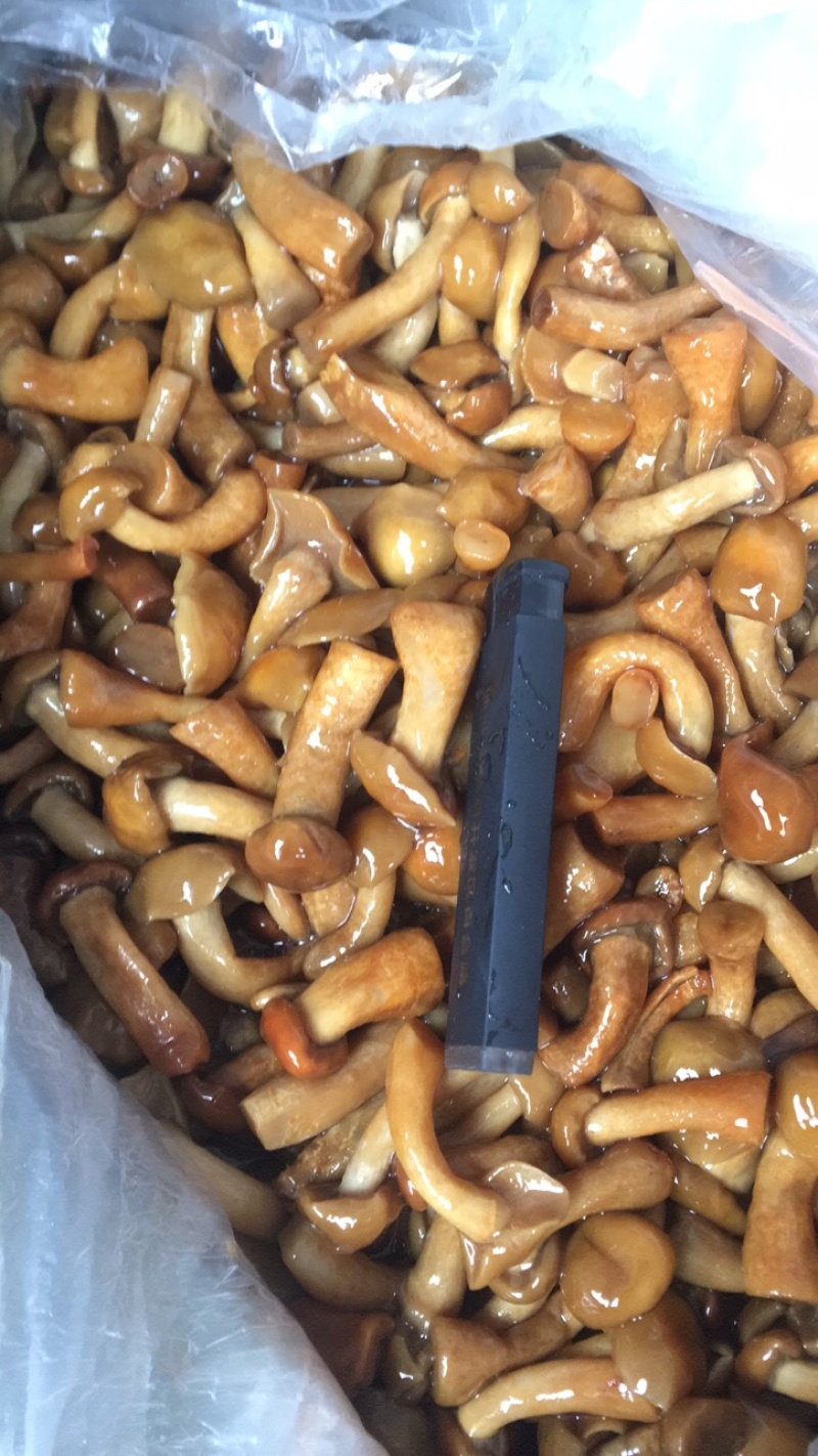 腌渍滑子菇各种品类欢迎咨询！