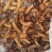腌渍滑子菇各种品类欢迎咨询！