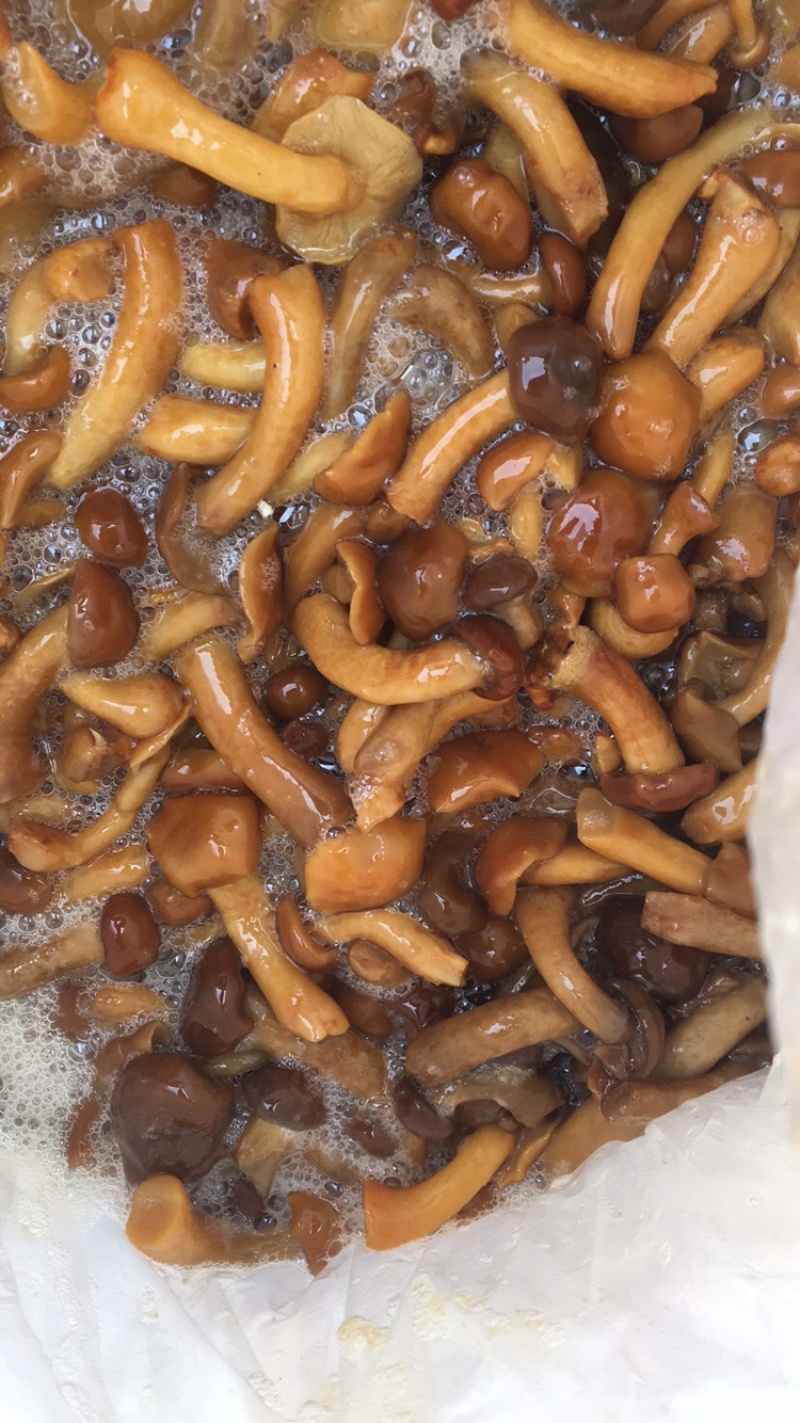 腌渍滑子菇各种品类欢迎咨询！