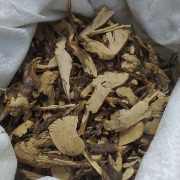 蔷薇根白蔷薇根野蔷薇根支持线上交易可搭配多品种采购