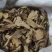 蔷薇根白蔷薇根野蔷薇根支持线上交易可搭配多品种采购