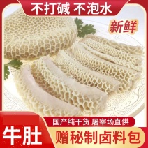【批发-工厂】热销冷冻半成品半熟牛肚金钱肚多规格包邮