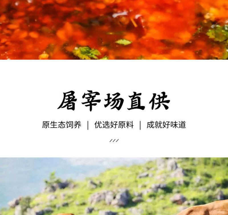 【批发-工厂】热销冷冻半成品半熟牛肚金钱肚多规格包邮