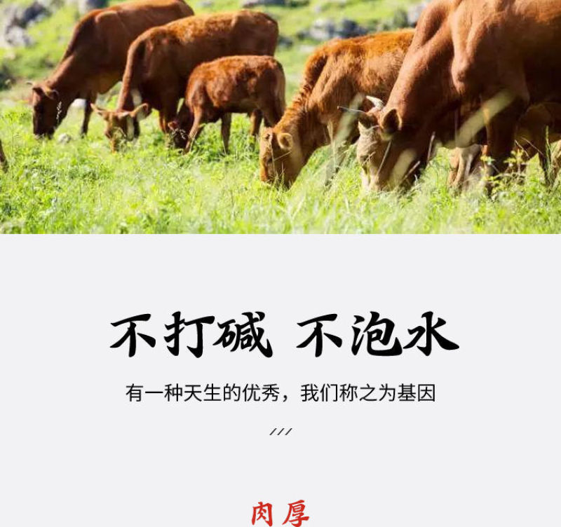 【批发-工厂】热销冷冻半成品半熟牛肚金钱肚多规格包邮