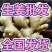 河北【大黄姜/红芽姜】水洗姜风干姜沙土姜/存库