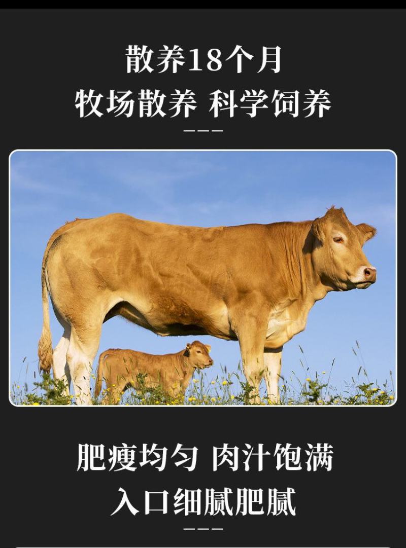 熟牛头肉整个牛脸带皮牛肉熟食筋头巴脑牛头脸牛肉批发新鲜肥