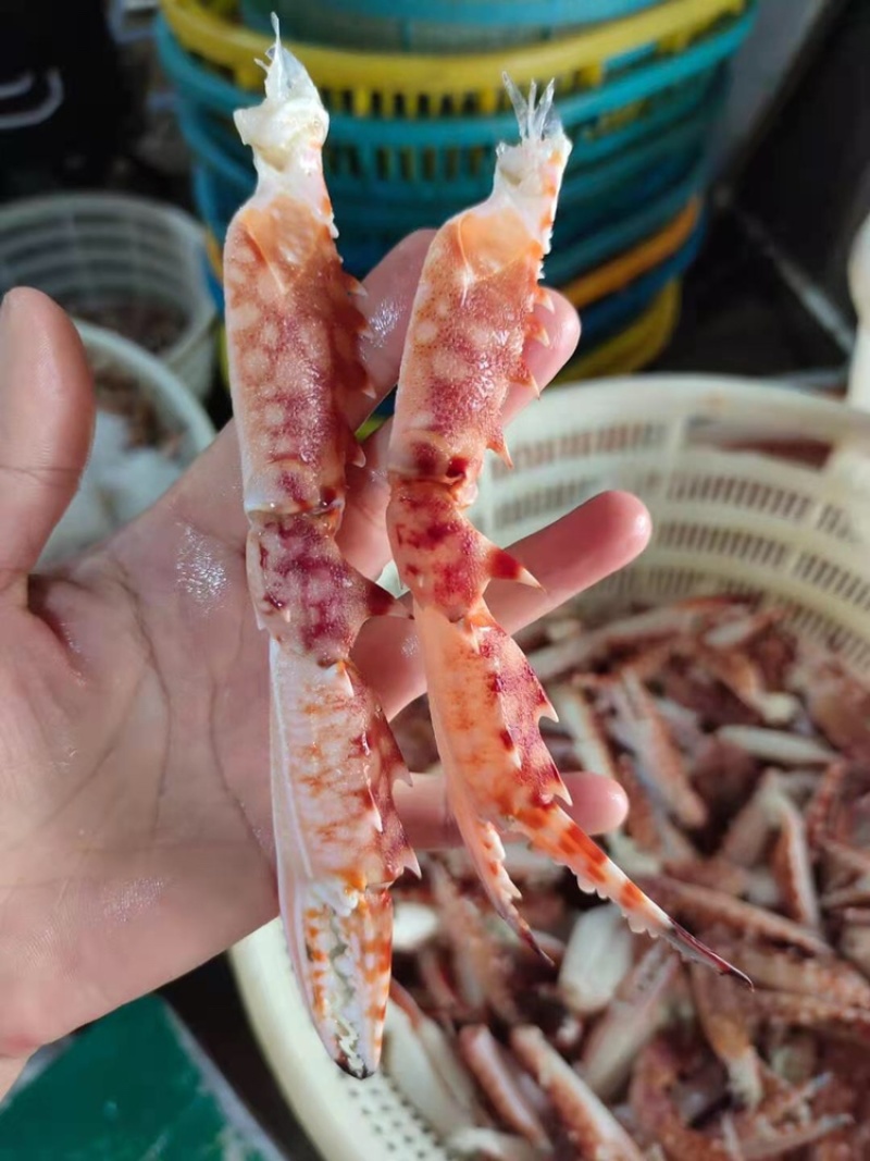 冰鲜蟹钳/兰花蟹钳/一手货源，大量有货，全国发货