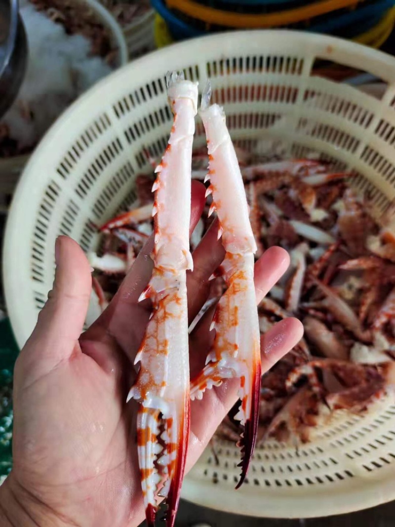 冰鲜蟹钳/兰花蟹钳/一手货源，大量有货，全国发货