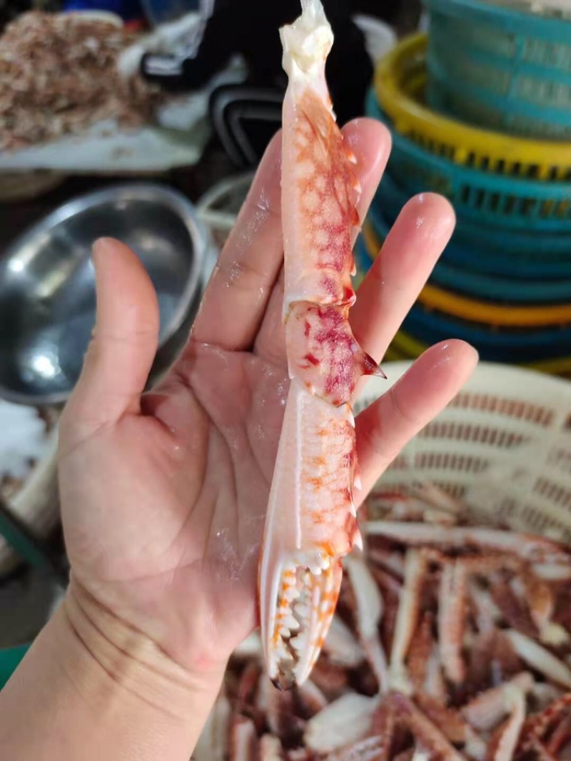 冰鲜蟹钳/兰花蟹钳/一手货源，大量有货，全国发货