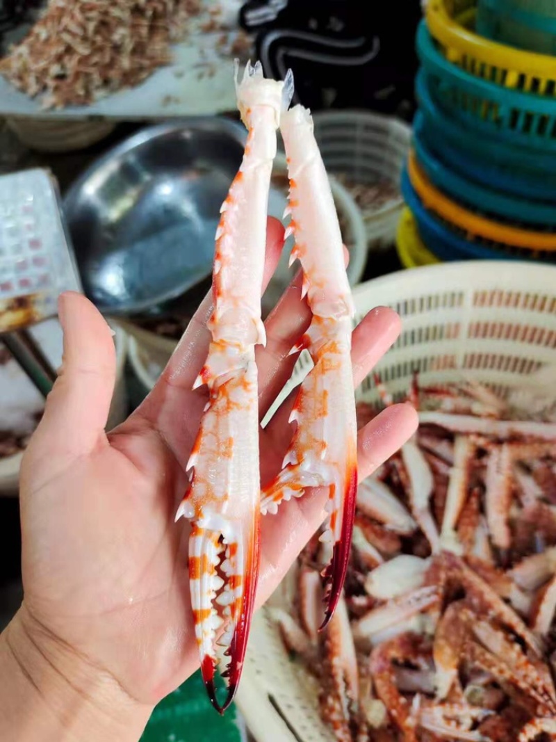 冰鲜蟹钳/兰花蟹钳/一手货源，大量有货，全国发货