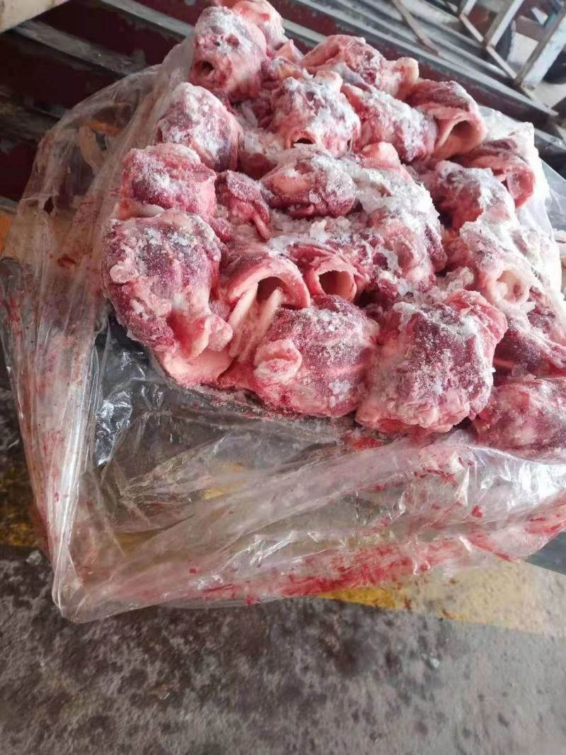 母猪喉头