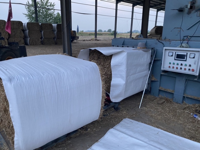 长期供应二次加工粉碎柔丝除尘大小包小麦秸秆饲料大包