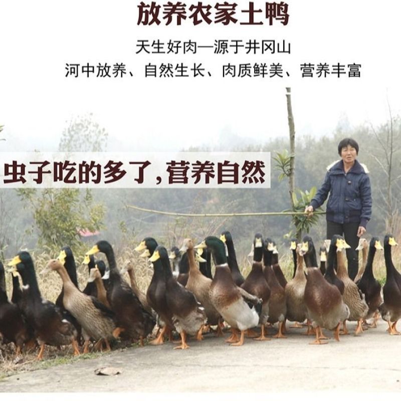 【当季热销】抢购风干咸鸭腿农家土腊安徽特产批发整箱包邮