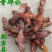 骨碎补
