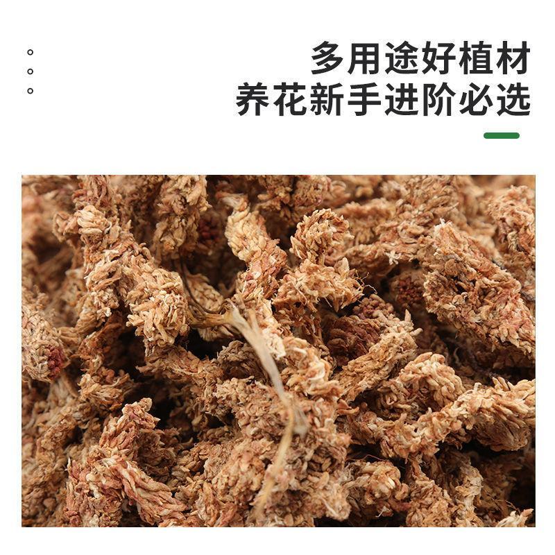 水苔干苔藓蝴蝶兰专用土兰花土保湿乌龟冬眠干水苔