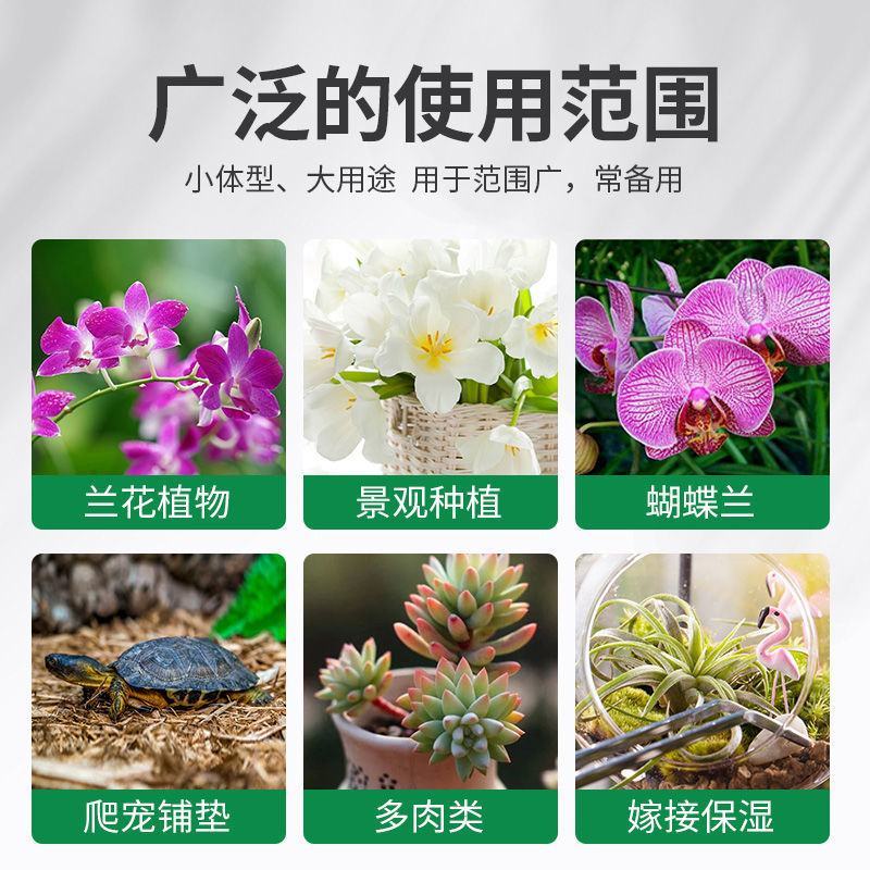 水苔干苔藓蝴蝶兰专用土兰花土保湿乌龟冬眠干水苔