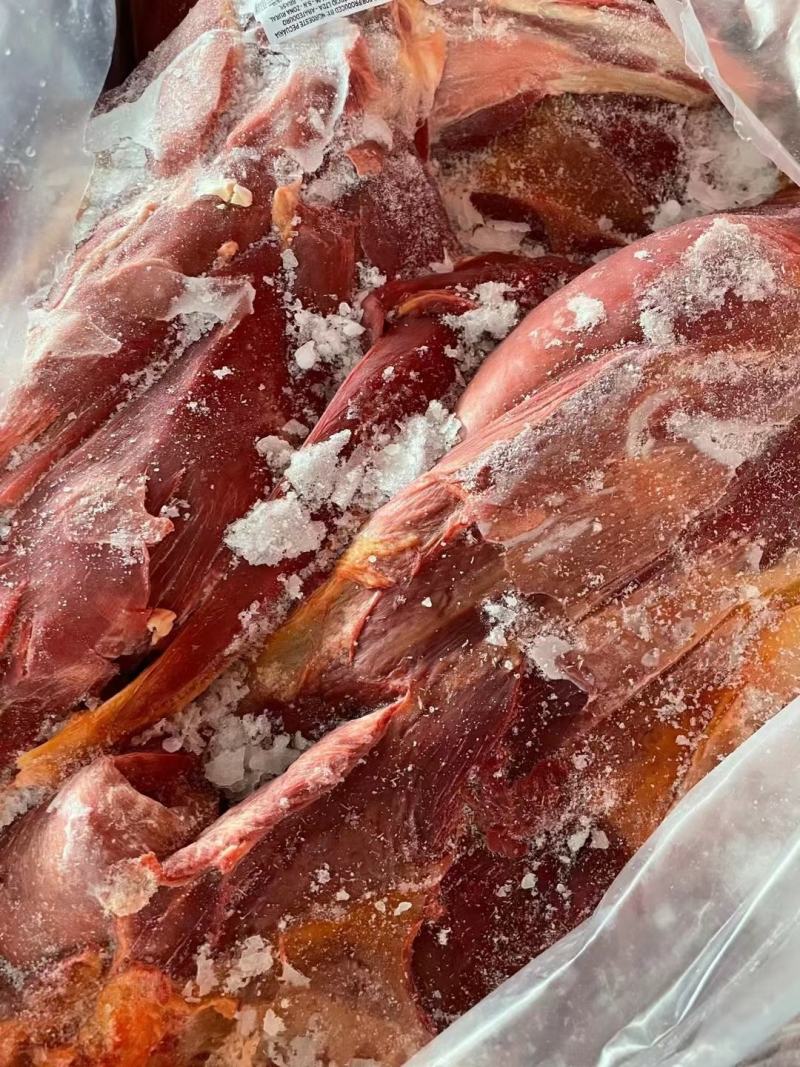 驴肉新鲜速冻驴肉精修去油手续齐全一手货源
