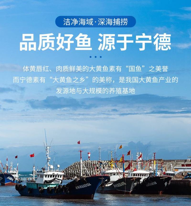 新鲜深海大黄鱼宁德黄花鱼东海黄鱼现捕现发鲜活冷冻超值包邮