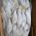 树叶鱼10kg/箱叶子鱼白菜价，量大询价