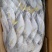 树叶鱼10kg/箱叶子鱼白菜价，量大询价