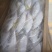 树叶鱼10kg/箱叶子鱼白菜价，量大询价